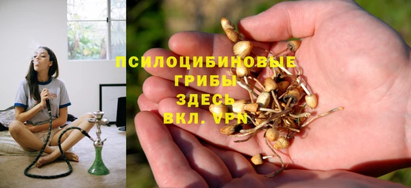 прущие крисы Лабытнанги