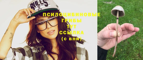 спиды Кукмор