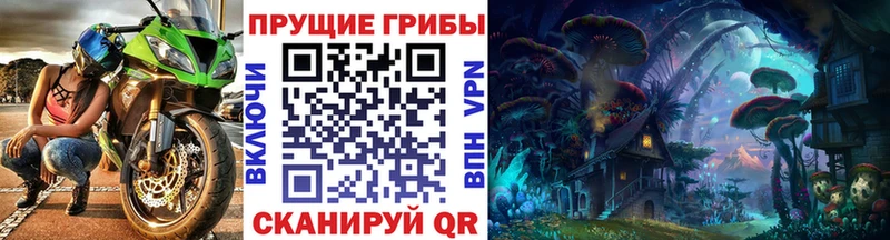 Псилоцибиновые грибы прущие грибы мориарти как зайти Темрюк где продают наркотики