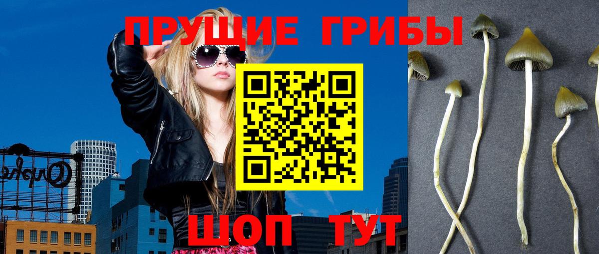 Галлюциногенные грибы мухоморы Темрюк